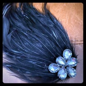 Black feather broach/enhancement